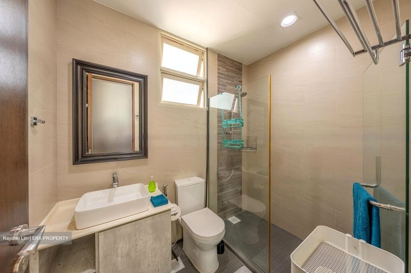 Apleton View (D11), Apartment #459780981